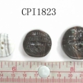 CPI1823