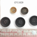 CPI1829