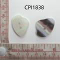 CPI1838