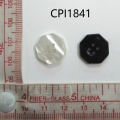 CPI1841