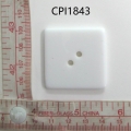CPI1843