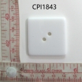 CPI1843