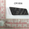 CPI1856