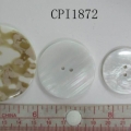 CPI1872