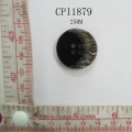 CPI1879