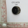 CPI1879