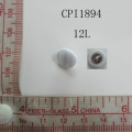 CPI1894