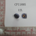 CPI1895