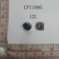 CPI1895