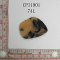 CPI1901