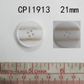 CPI1913
