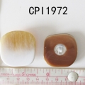 CPI1972