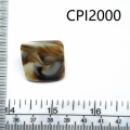 CPI2000