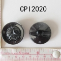 CPI2020