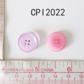CPI2022