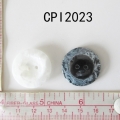 CPI2023