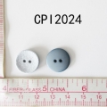 CPI2024