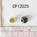 CPI2025