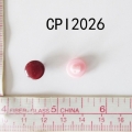 CPI2026