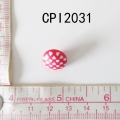 CPI2031