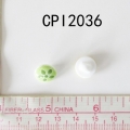 CPI2036