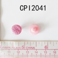 CPI2041