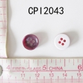 CPI2043