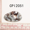 CPI2051