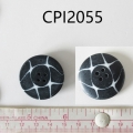 CPI2055