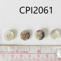 CPI2061