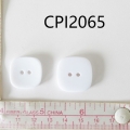 CPI2065