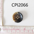 CPI2066