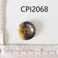 CPI2068