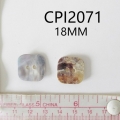 CPI2071