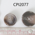 CPI2077