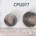 CPI2077