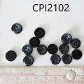 CPI2102