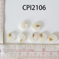 CPI2106