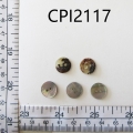 CPI2117