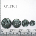 CPI2161