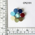 CPI2191