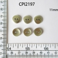 CPI2197