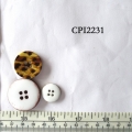 CPI2231