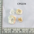 CPI2234