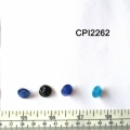 CPI2262