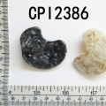 CPI2386