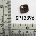 CPI2396