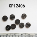 CPI2406