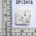 CPI2416