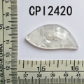 CPI2420